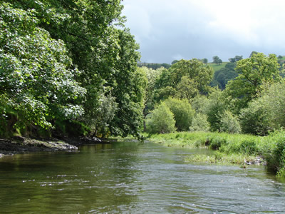 River Irfon Aberbwtran